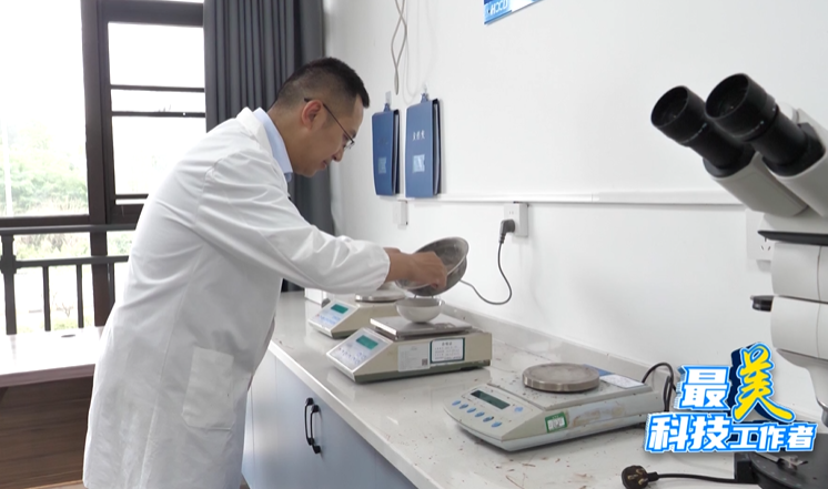 最美科技工作者丨杨黔 “砂”破苍穹，架起世界桥梁